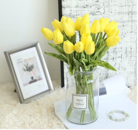 HOA TULIP PU GIỐNG THẬT ĐẾN 99%- HOA TULIP LÁ XOĂN LOẠI 1