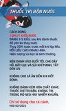 DIỆT TẬN GỐC RẬN NƯỚC CHO CÁ CẢNH-BIBI KOI FOOD