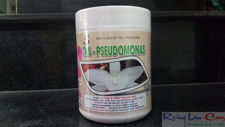 Combo 2 hủ TKS Trichoderma và TKS- PSEUDOMONAS ( Hủ 1kg)