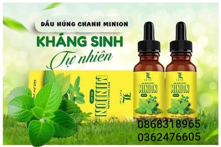 Dầu húng chanh minion (kháng sinh tự nhiên)