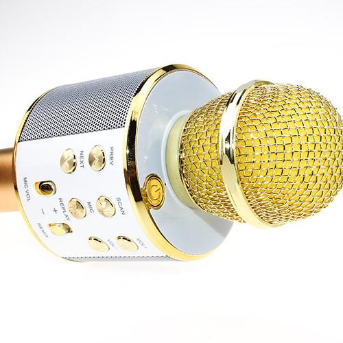 [HCM]Mic karaoke - Mic karaoke - Mic karaoke 858