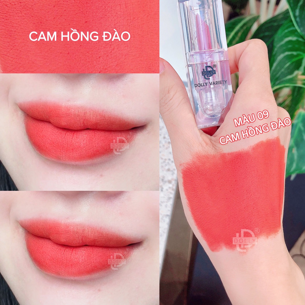 Son Lì Son Sáp VARIETY DOLLY Không Chì Cao Cấp  