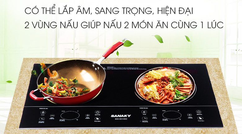 Bếp hồng ngoại đôi Sanaky SNK-201HGW