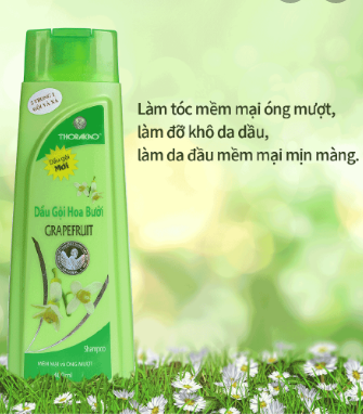 Dầu Gội Hoa Bưởi Grapefruit Thorakao
