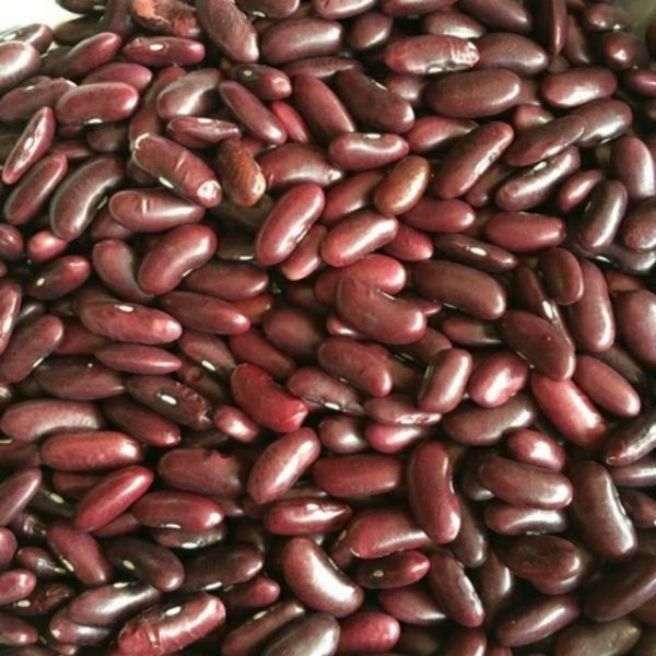 500g đỗ đỏ ( hạt to)