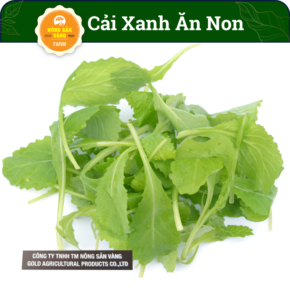 Mung bean sprout seeds 90%, rapid crops, year-around -yellow agricultural product