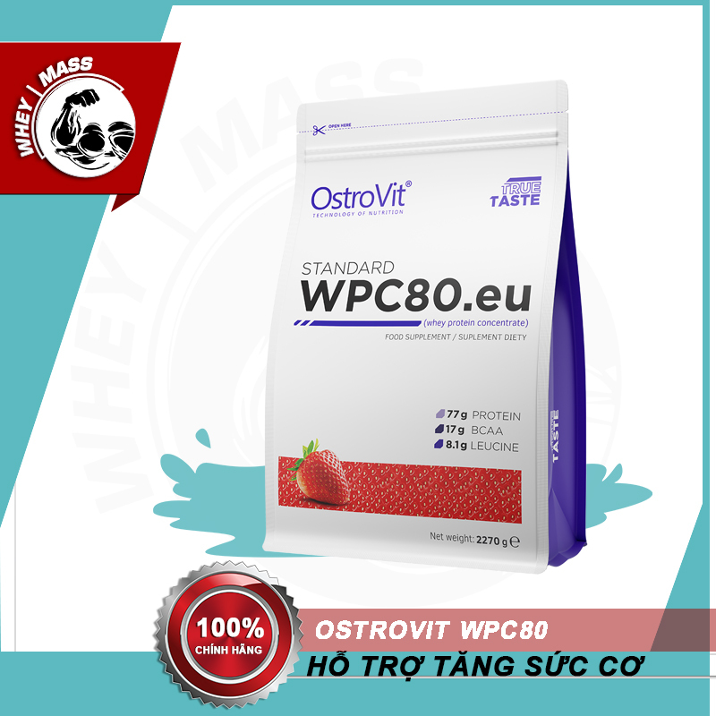 Thực Phẩm Bổ Sung Hỗ Trợ Tăng Cơ Ostrovit WPC Whey Protein Concentrate 80 2,27kg