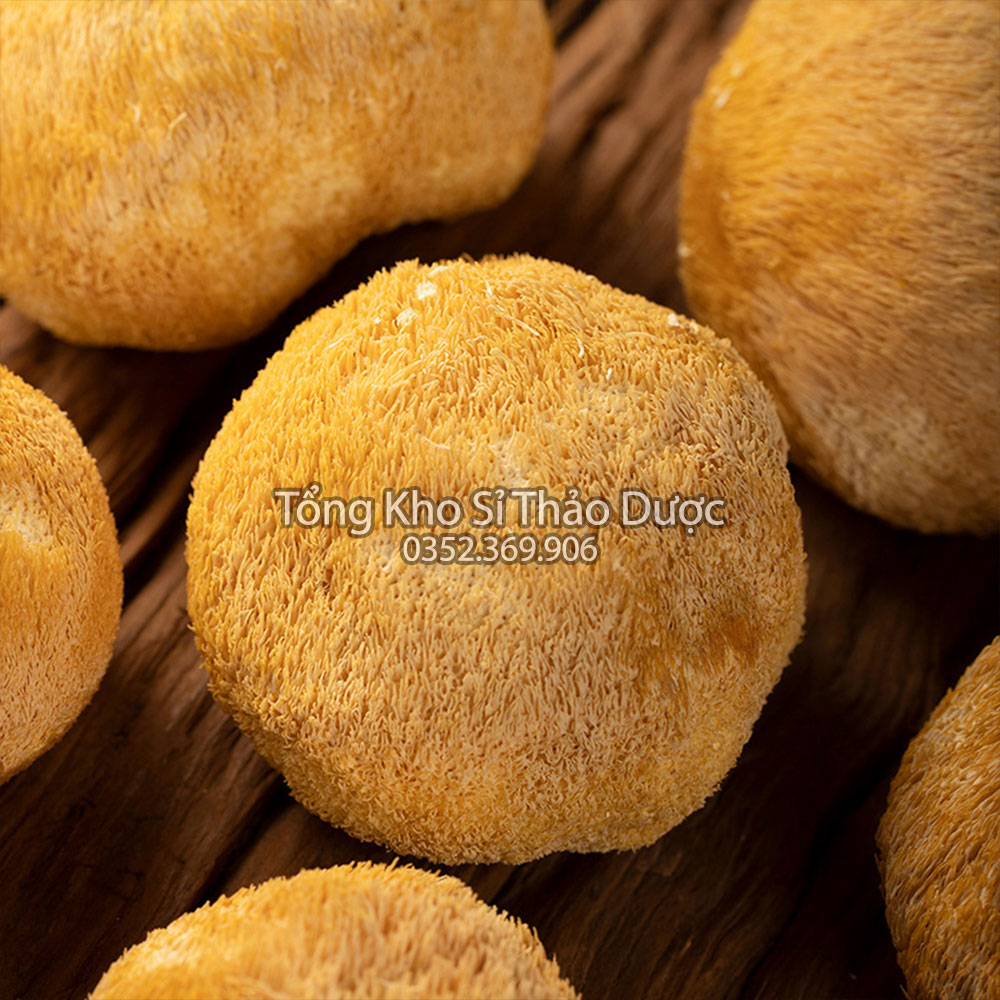 Nấm hầu thủ 500g ( Nấm đầu khỉ hữu cơ, tốt cho tiêu hóa)