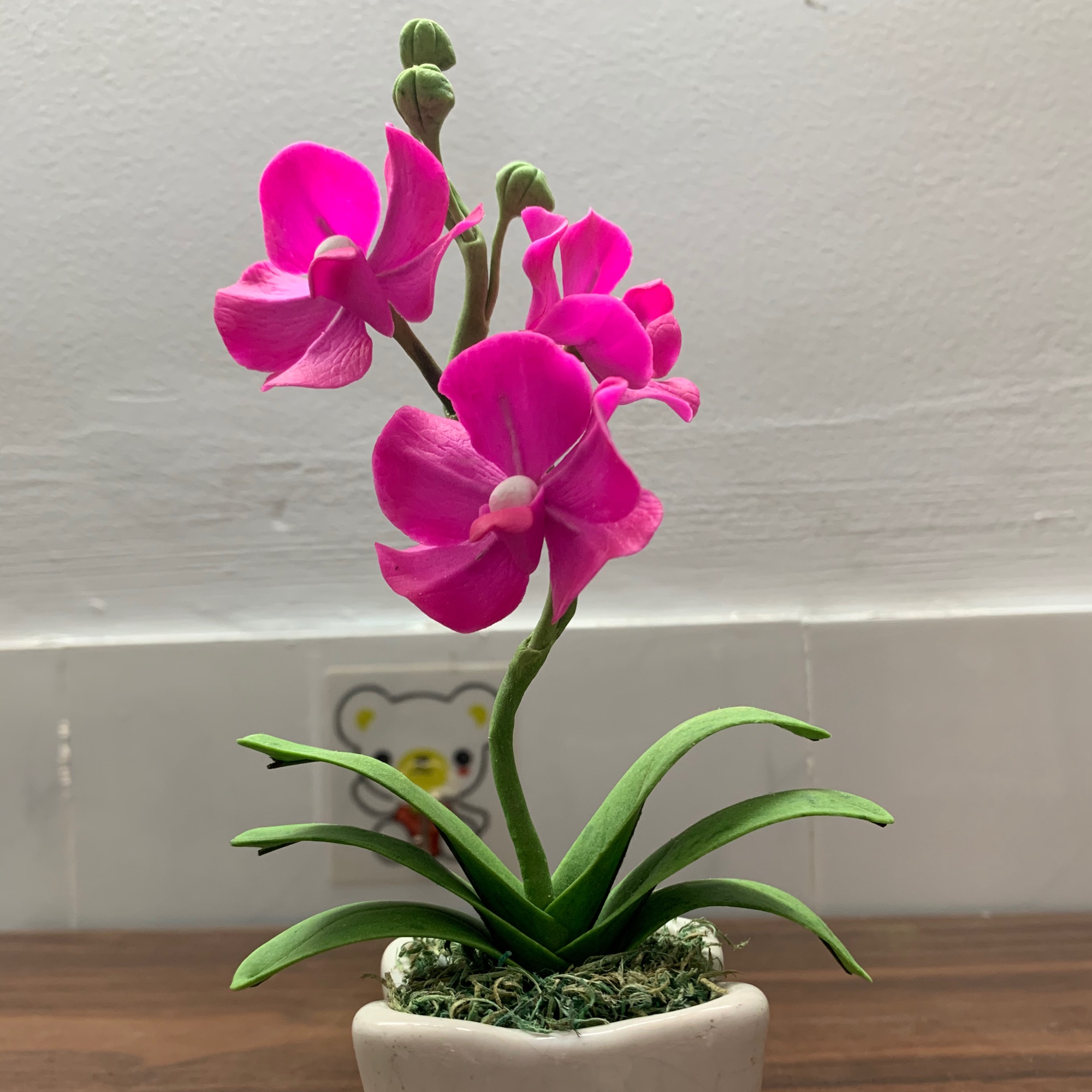 [HCM]Chậu hoa Lan Vanda đất sét bông hoa size trung cành ngắn