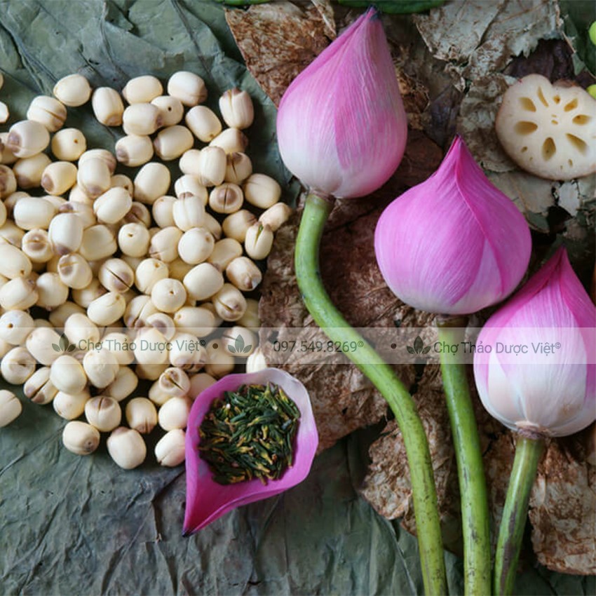 Trà tâm sen khô 100g, tim sen sao thơm, trà tâm sen, không lẫn tạp chất - Chợ Thảo Dược Việt