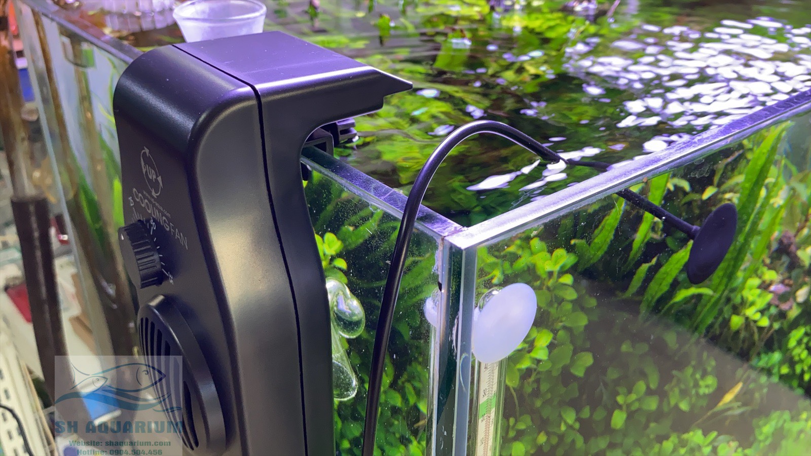 [HOÀN TIỀN 10%]QUẠT LÀM MÁT UP AQUA CÓ ĐẦU DÒ NHIỆT