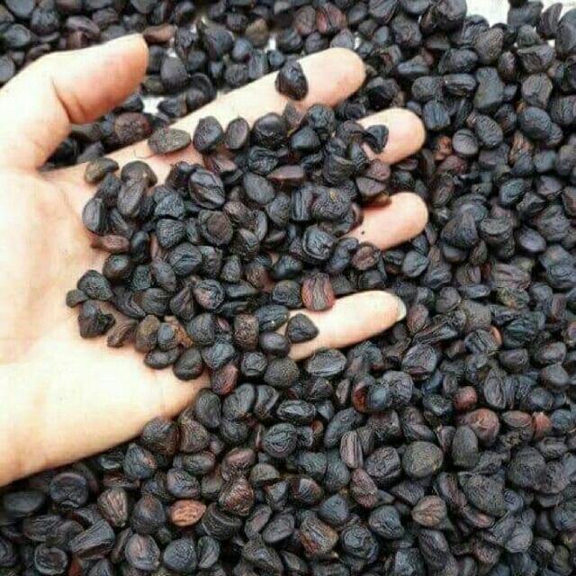 Hạt Dổi Đặc Sản Tây Bắc 200g tặng kèm hạt mắc khén
