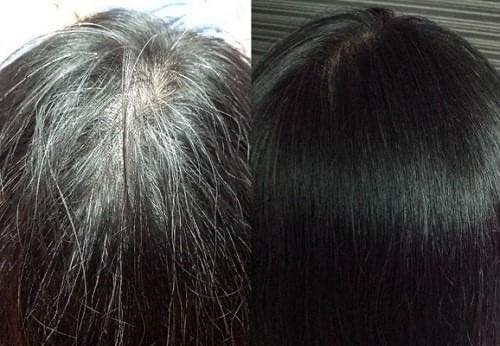 ✅[CHÍNH HÃNG] DẦU GỘI PHỦ BẠC ĐEN (NÂU) TÓC BIBOP NHẬT BẢN - GỘI LÀ ĐEN TÓC ( NÂU TÓC )