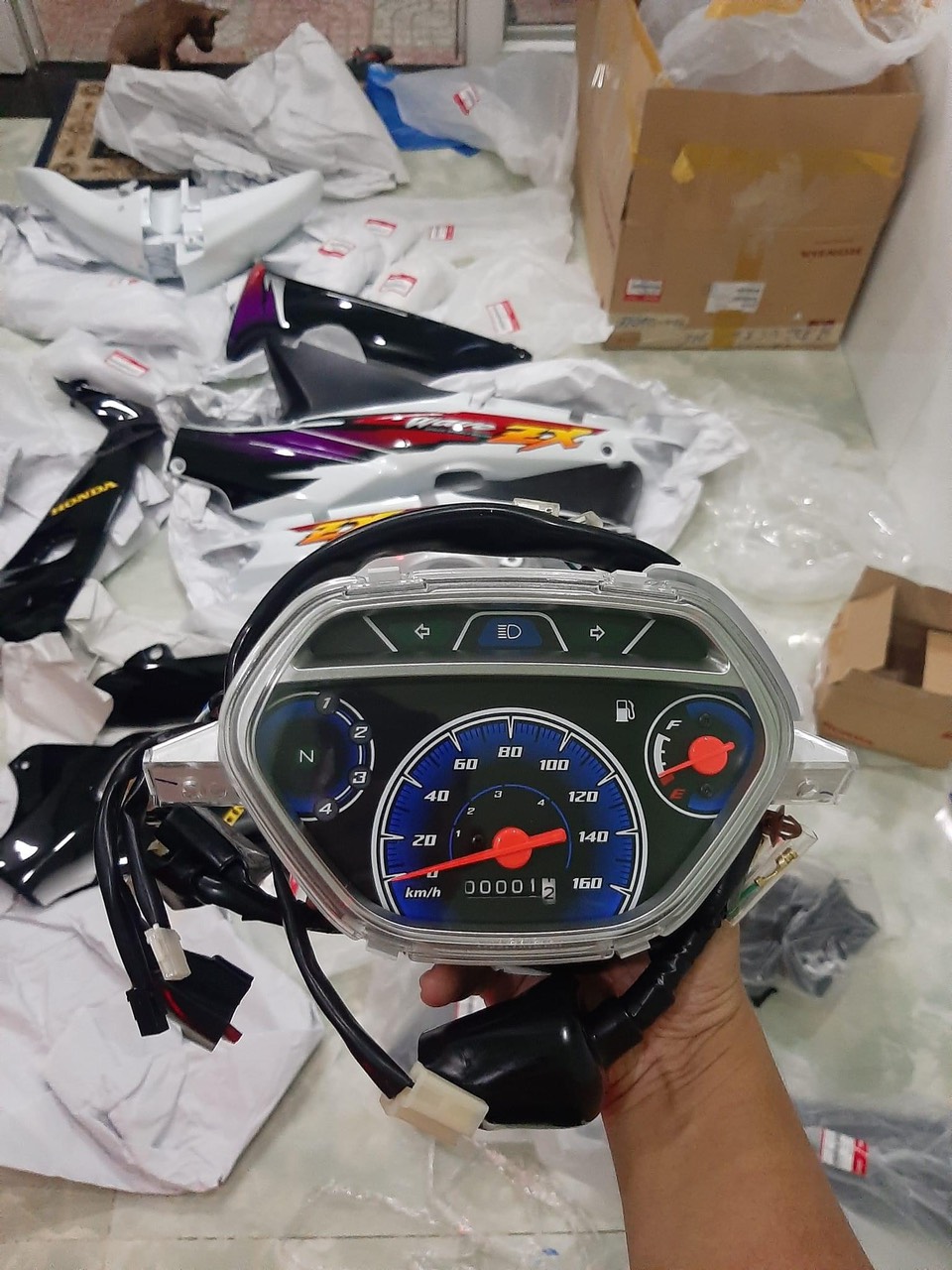 Đồng pool wave ZX Zin genuine.