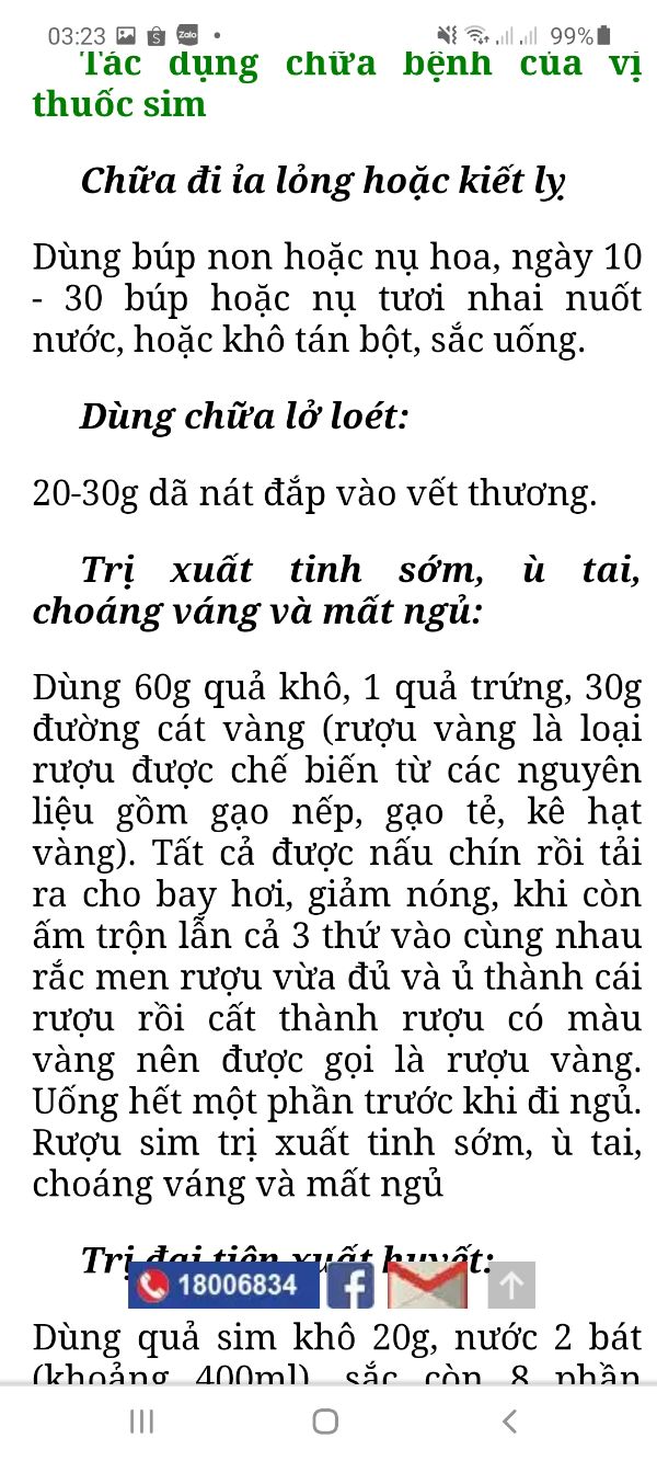 Sim ăn quả cây nhỡ