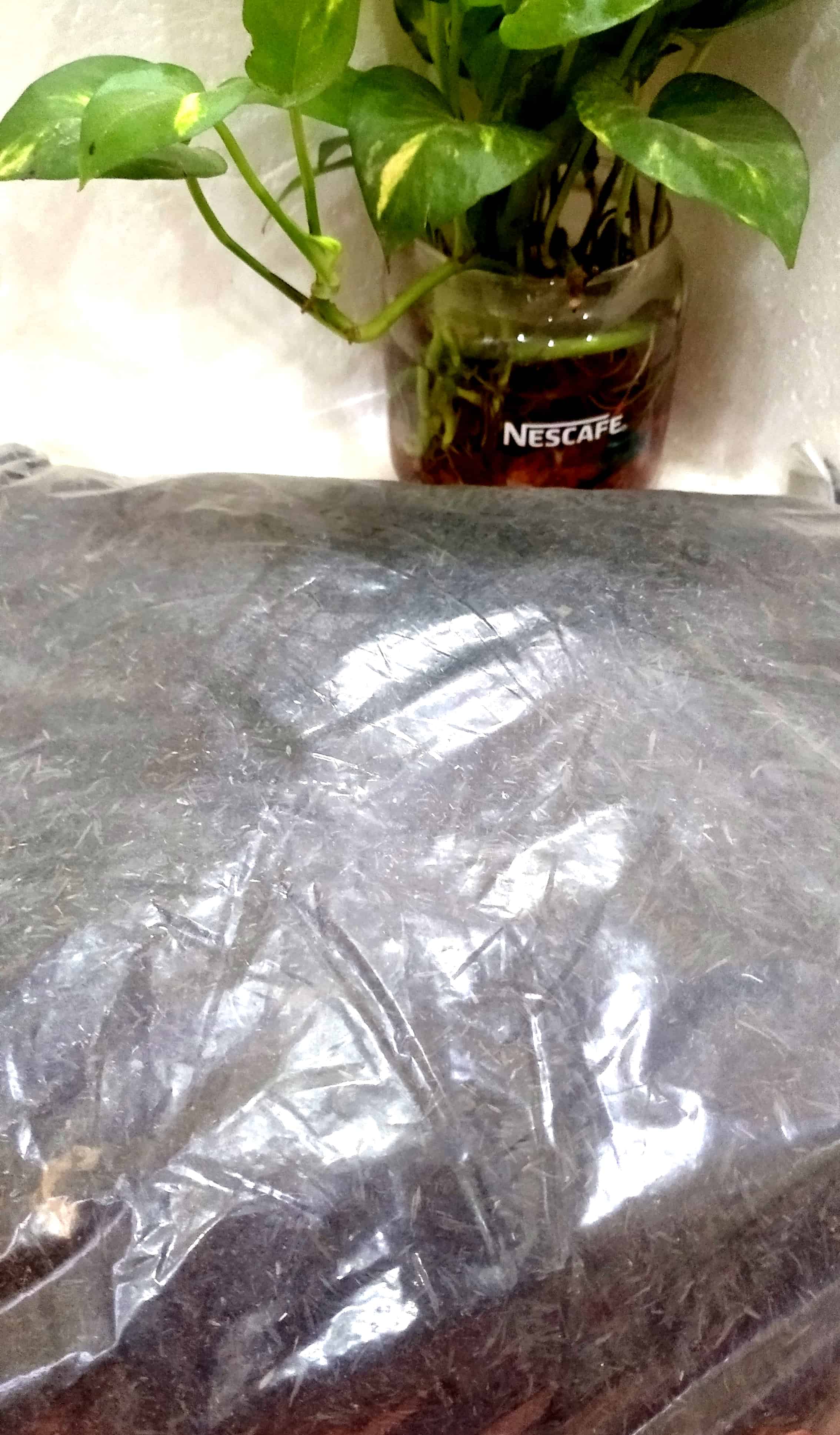 Tro trấu 1kg