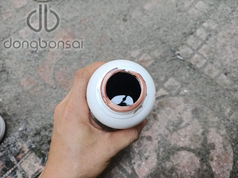 Bôi lũa bonsai màu nâu đỏ 500ml
