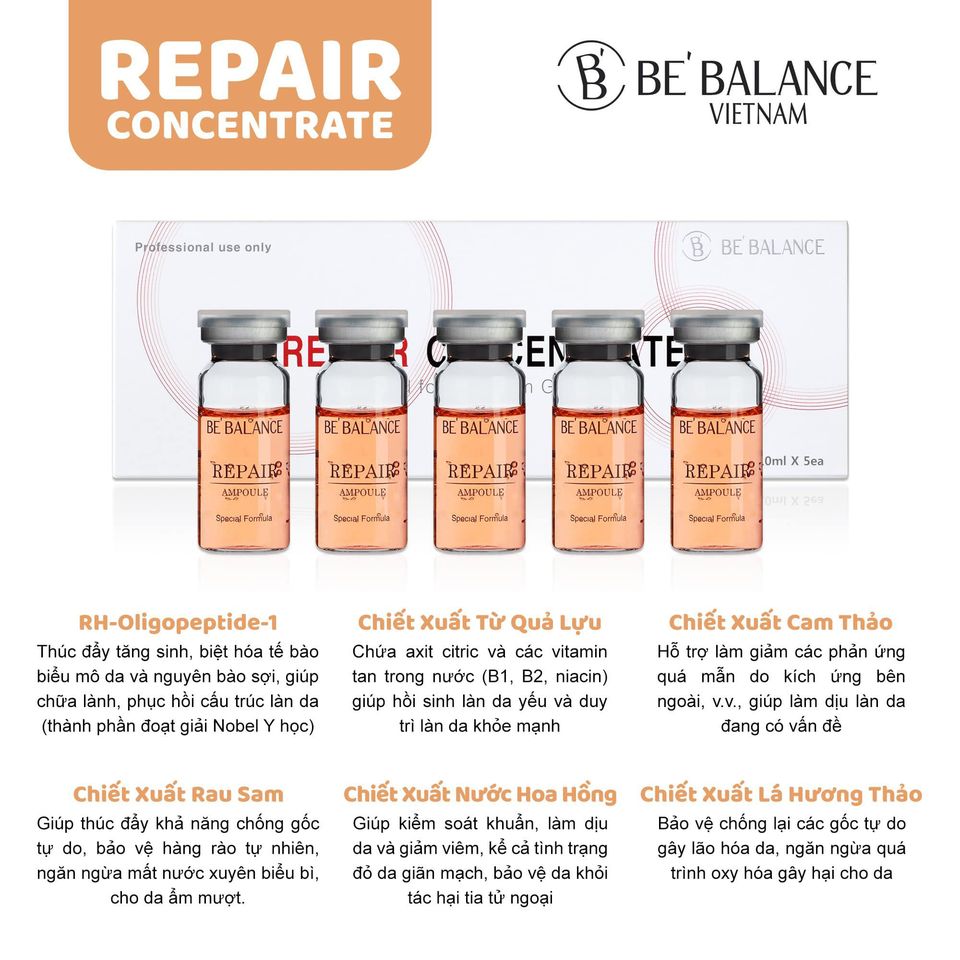 [FreeShip Max] - 1 Sét Ampoule Bebelance (5 Chai) - KhoMyPhamCT
