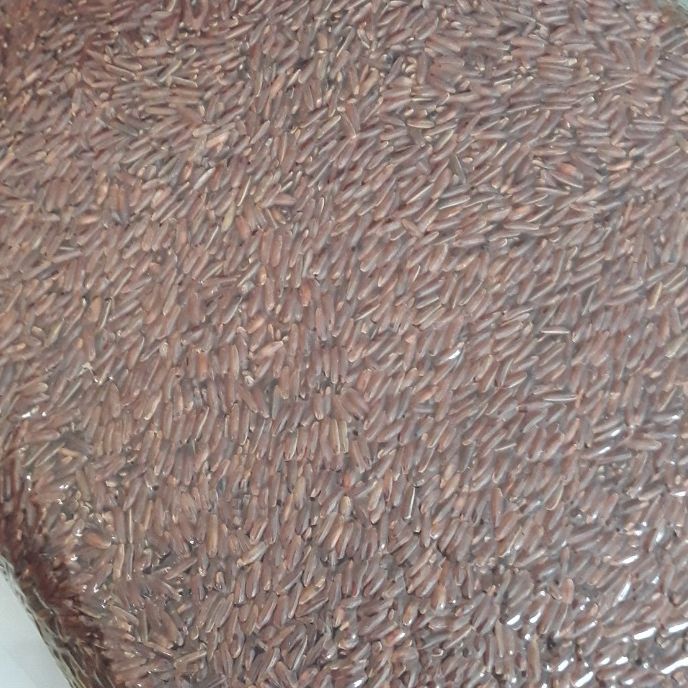 Gạo Lứt Huyết Rồng Thái Lan