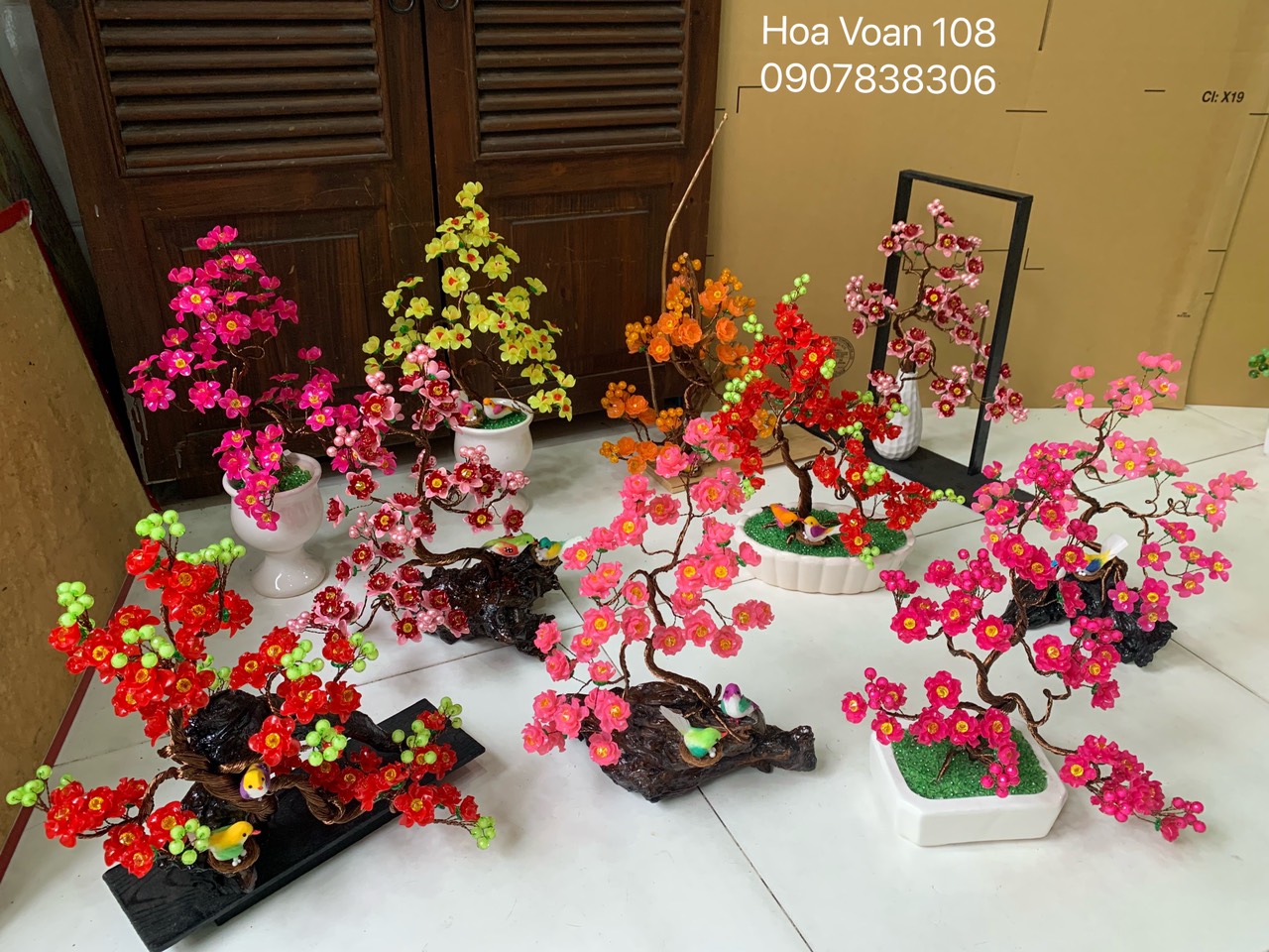 Cây kiểng bằng hột đá cao 30cm