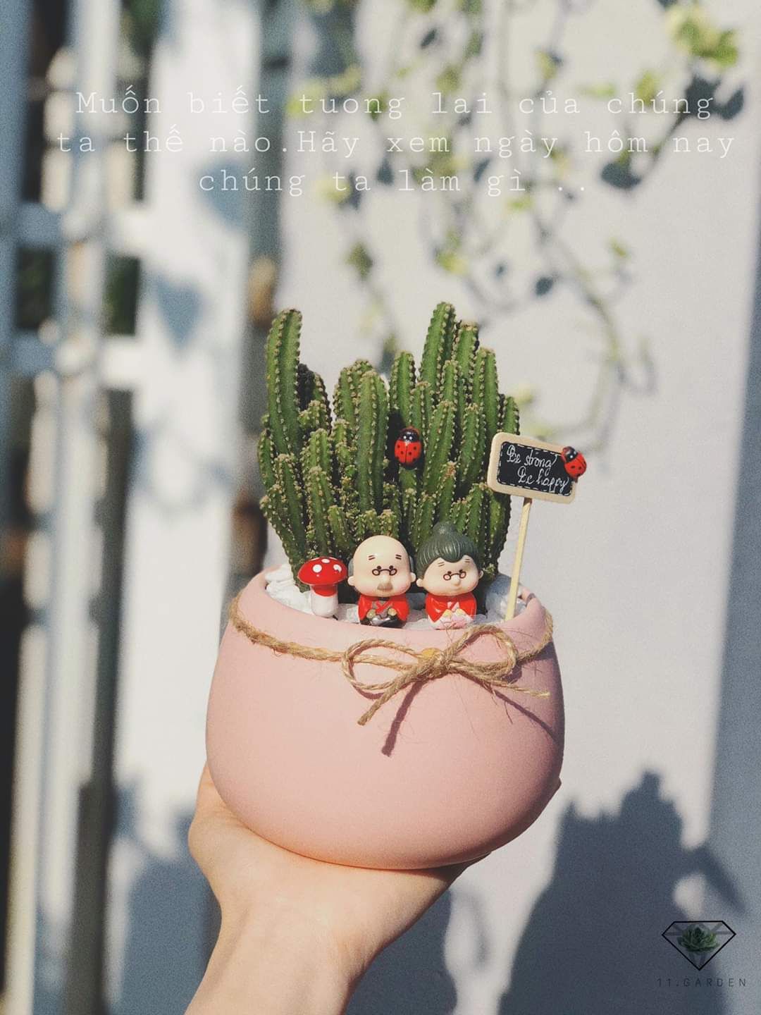 tiểu cảnh mini