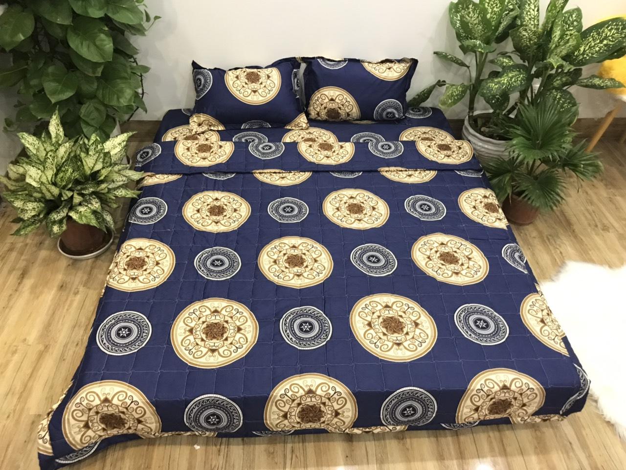 Set Ga Gối Cotton Poly Mẫu Đồng Xu ( gồm 1 ga + 2 vỏ gối )