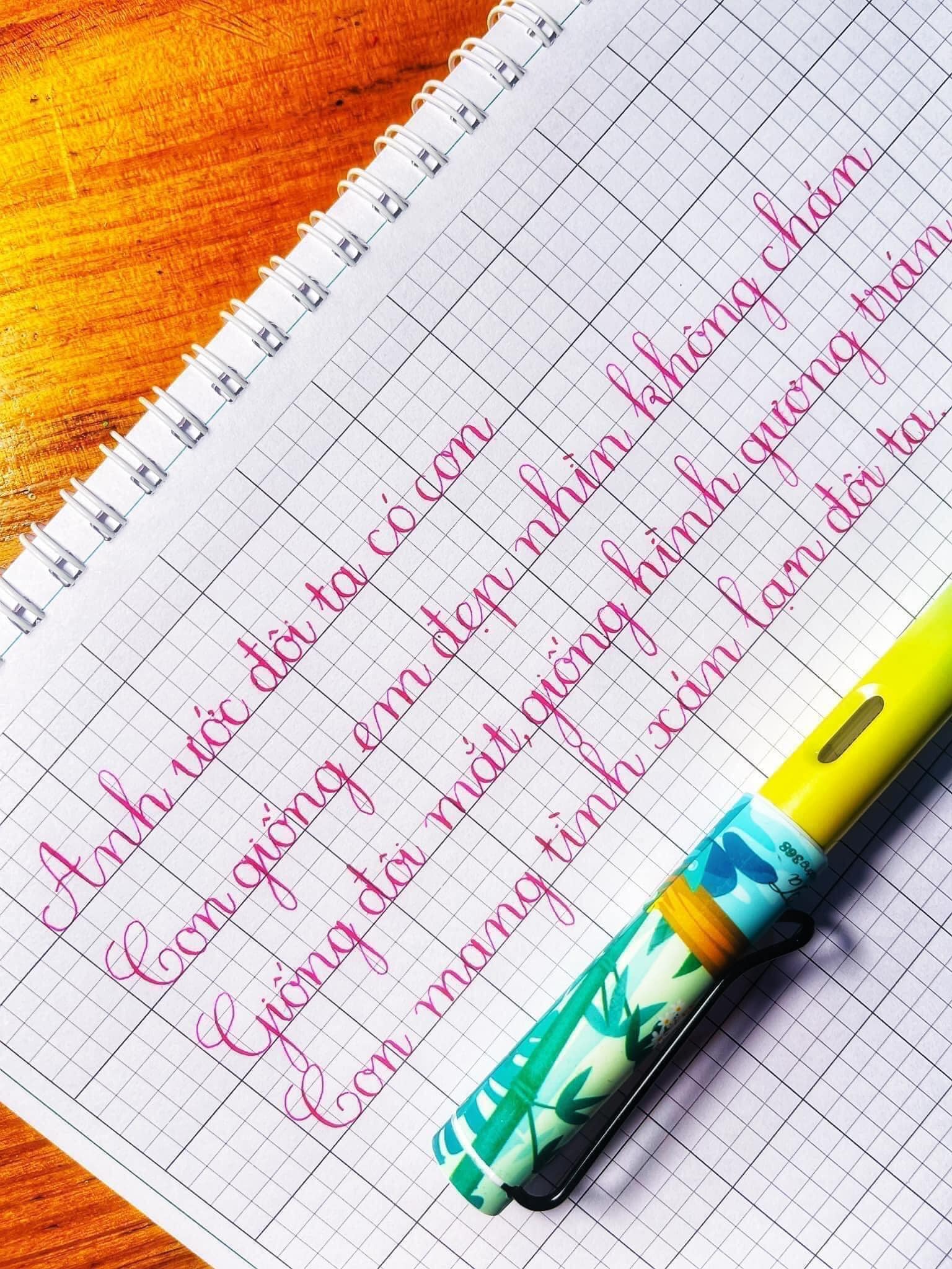 Bút lá tre Leta 368 vỏ nhựa