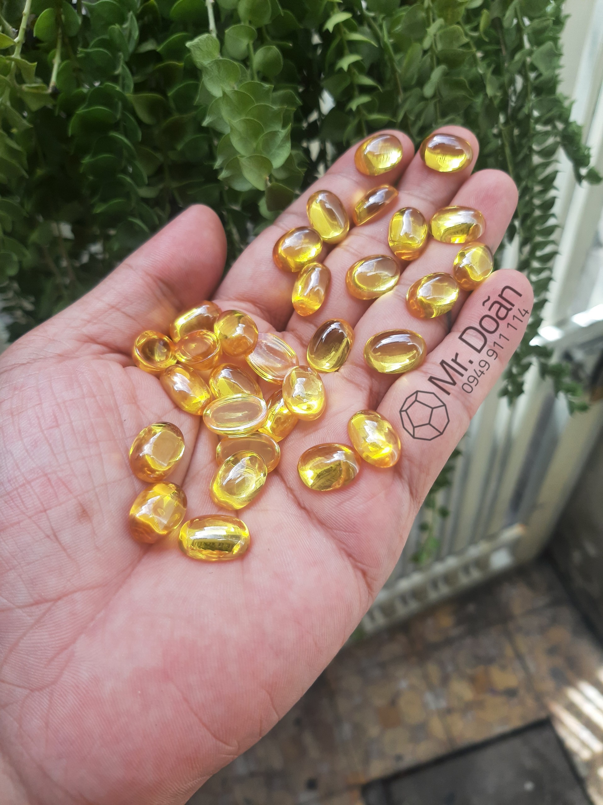 Bi OVAL 3 màu / Dành Cho Nam