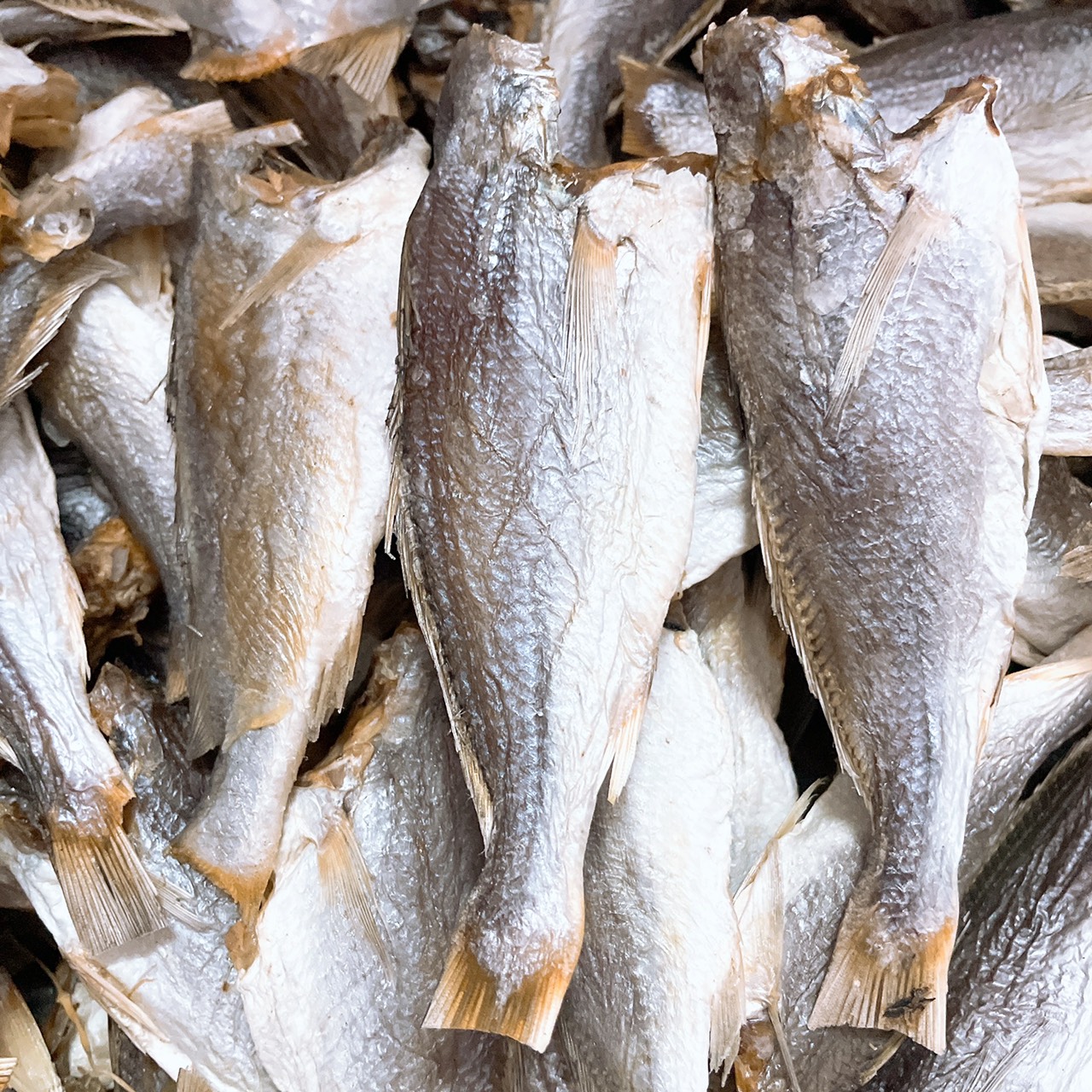 Khô Cá Đù Mặn Cà Mau Size Trung (30-40 con/1Kg)