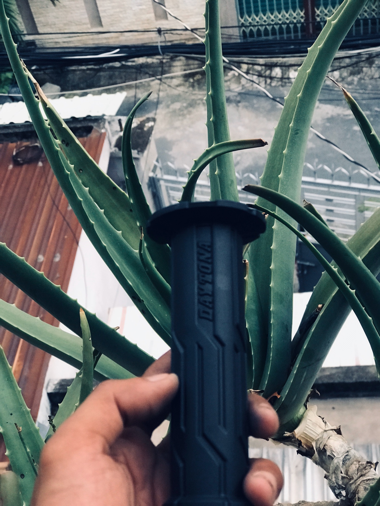 [HCM]Cặp Bao tay DAYTONA (sọc)