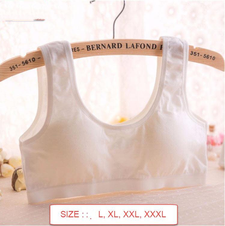 COMBO 5  ÁO LÁ  HỌC SINH CẤP 1 HOẶC CẤP 2