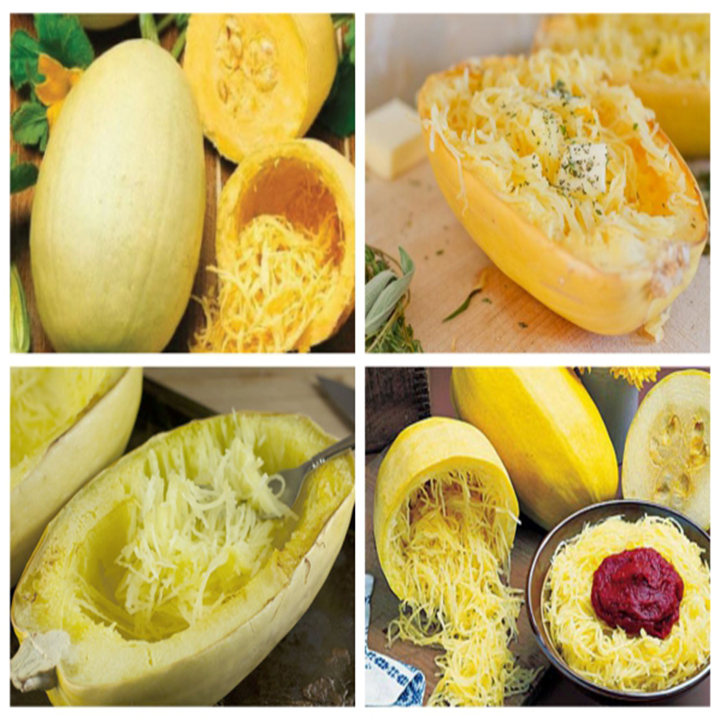 Gói 5 Hạt giống bí sợi vàng