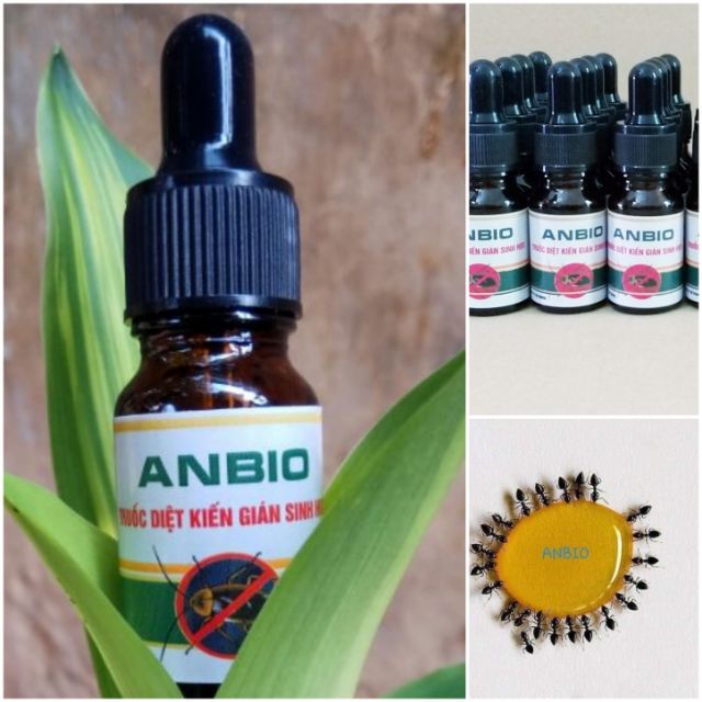 Diệt kiến gián sinh học Anbio 10ml hiệu quả nhanh chóng dùng trong nhà