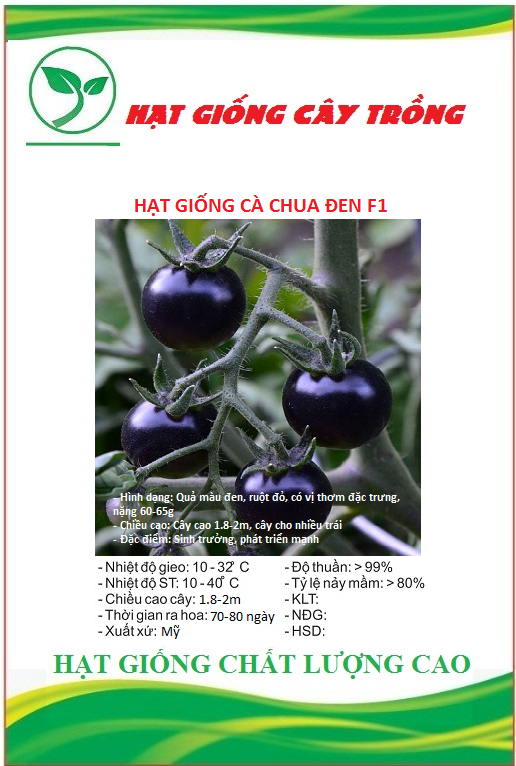 Hạt giống cà chua đen f1 ct282 - gói 10 hạt