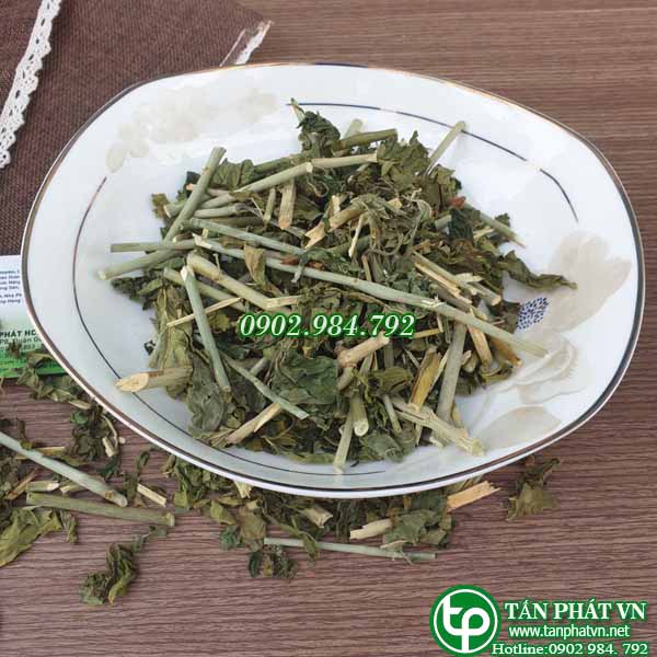 Cây bìm bịp ( xương khỉ ) sấy khô Tấn Phát 1kg