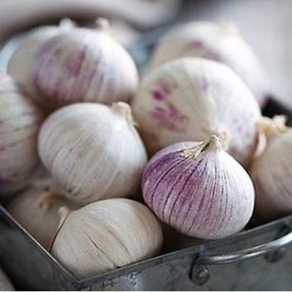 1Kg Tỏi Cô Đơn Phan Rang làm tỏi đen