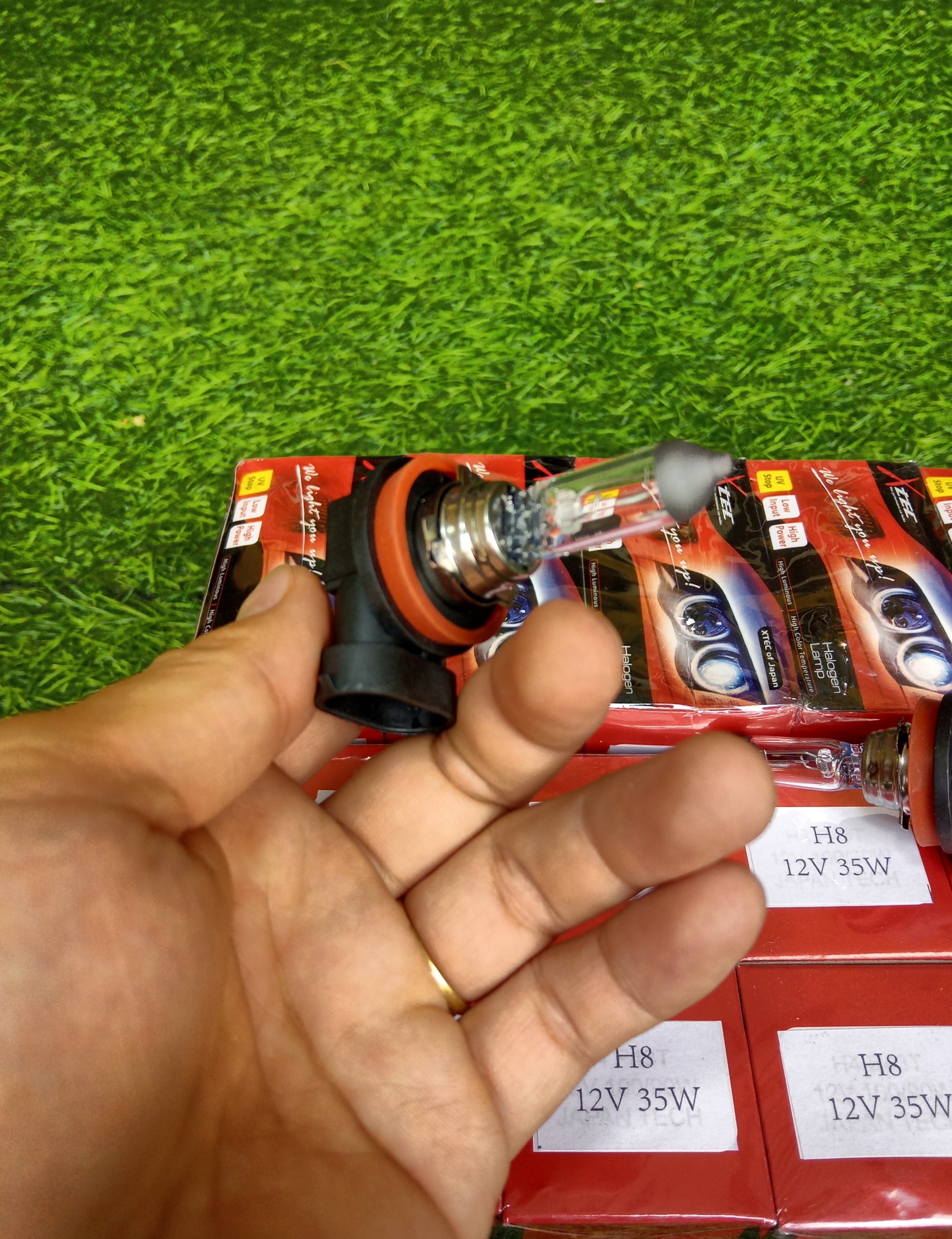 Bóng đèn halogen h8 12v 35w japan