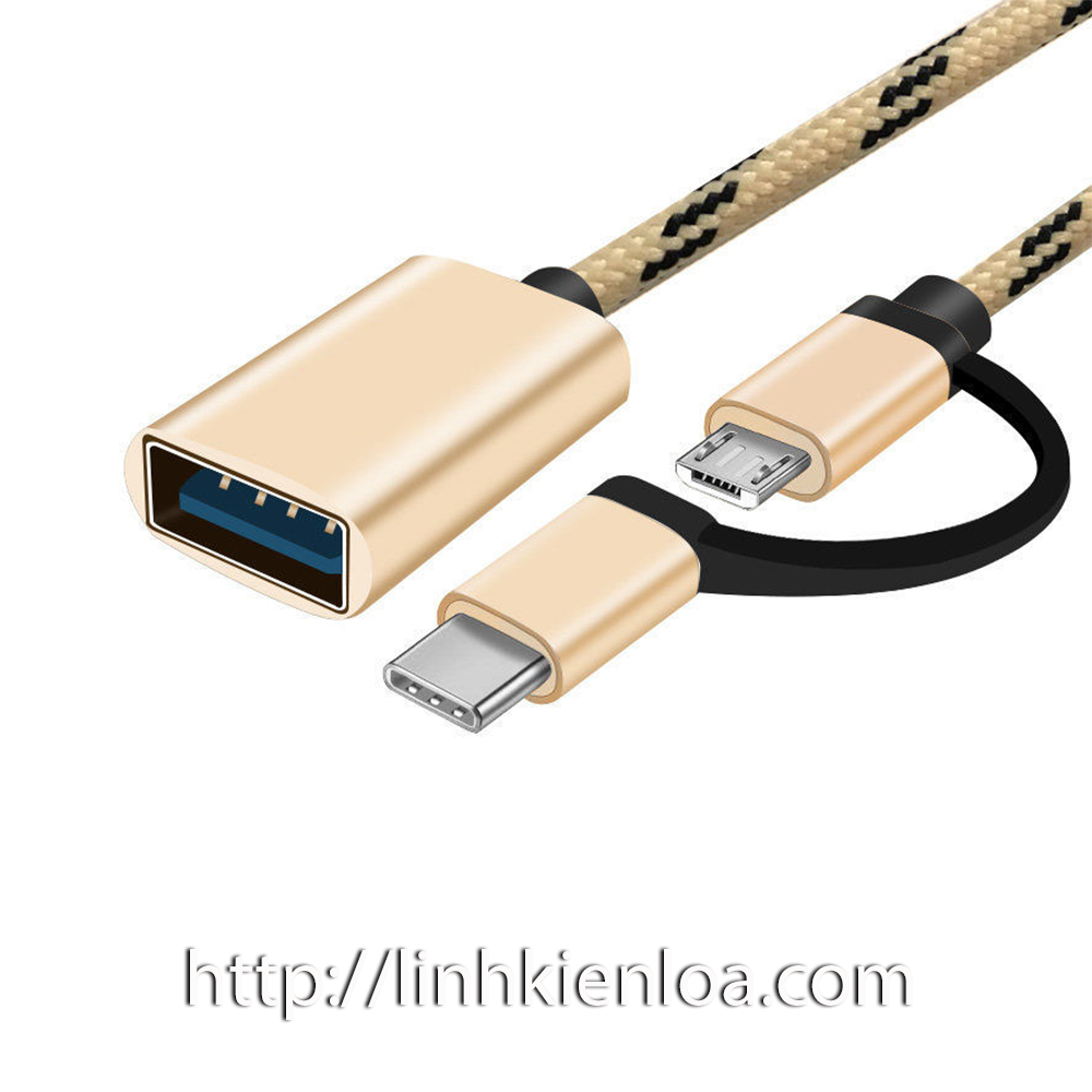 Cable OTG-shipping from USB port type-c + Micro USB to USB 3.0