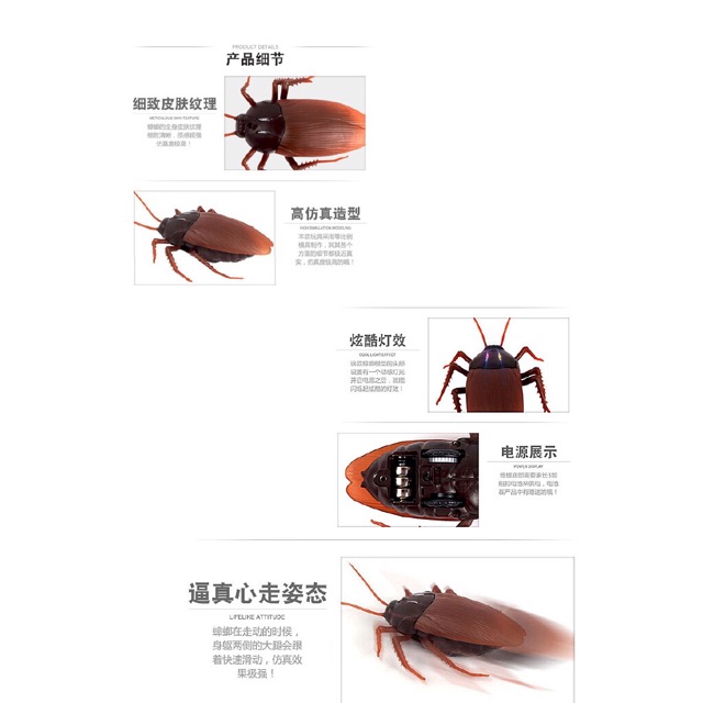 [HCM]Gián Điều Khiển Từ Xa