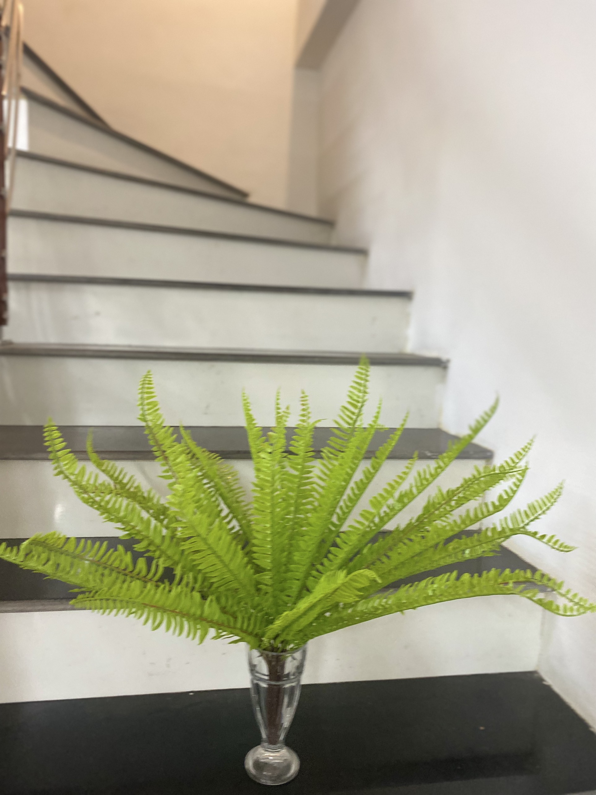 Cành dương sỉ 12 nhánh 075