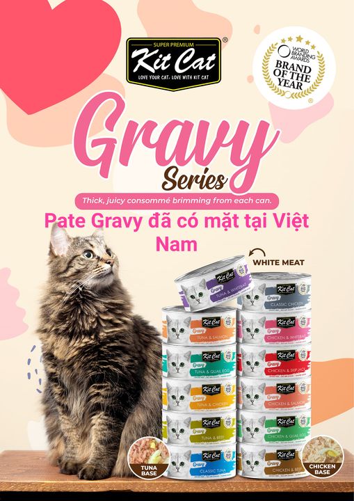 KITCAT GRAVY - PATE CHO MÈO