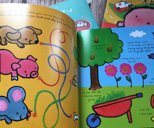 Cuốn Sách Lớn Rực Rỡ Về Giác Quan