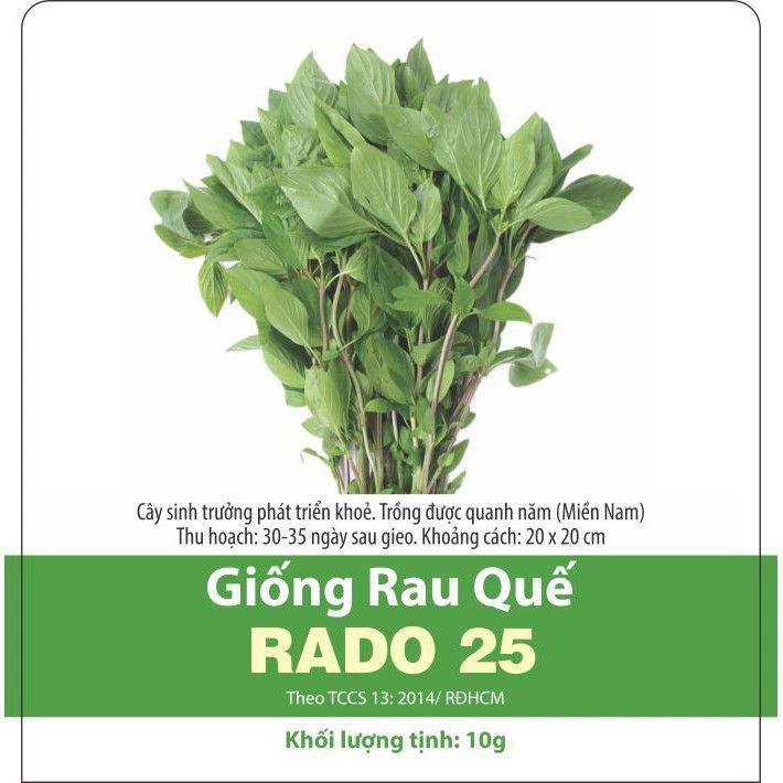 Hạt giống rau húng quế