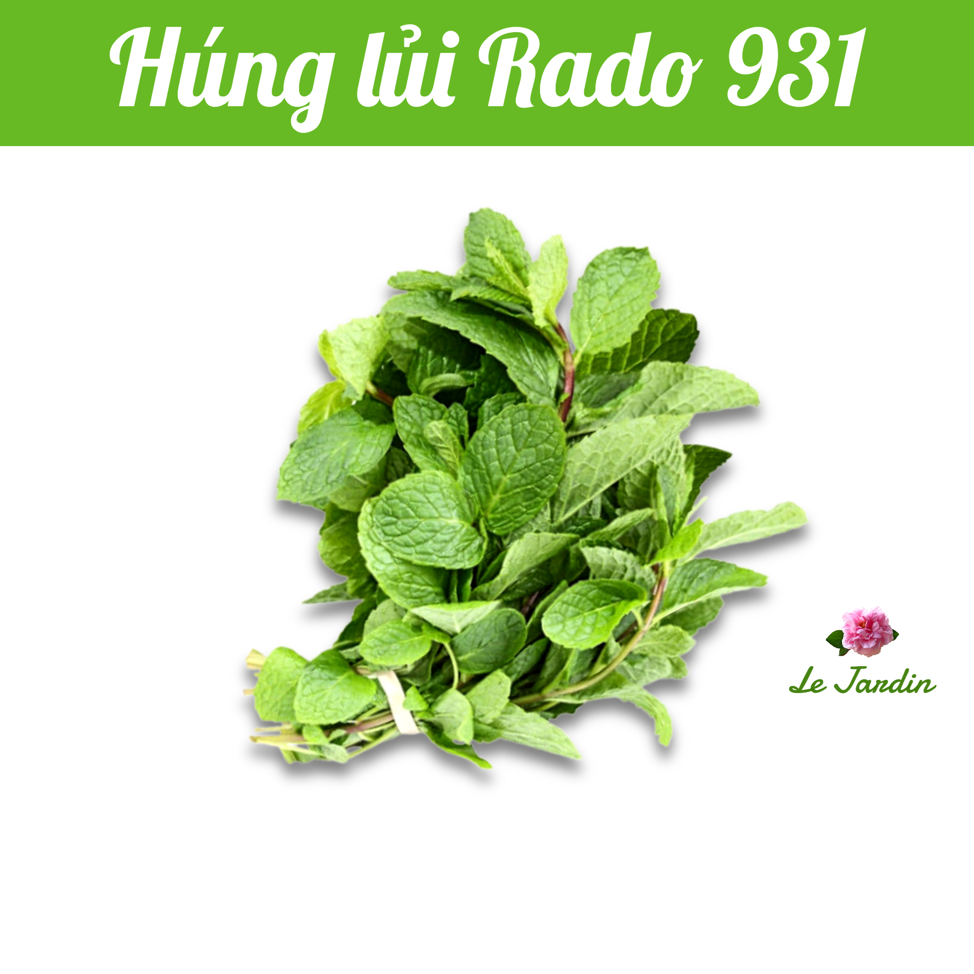 Hạt giống Rau Húng Lủi (RD 931) gói 0,2gr - Dễ trồng