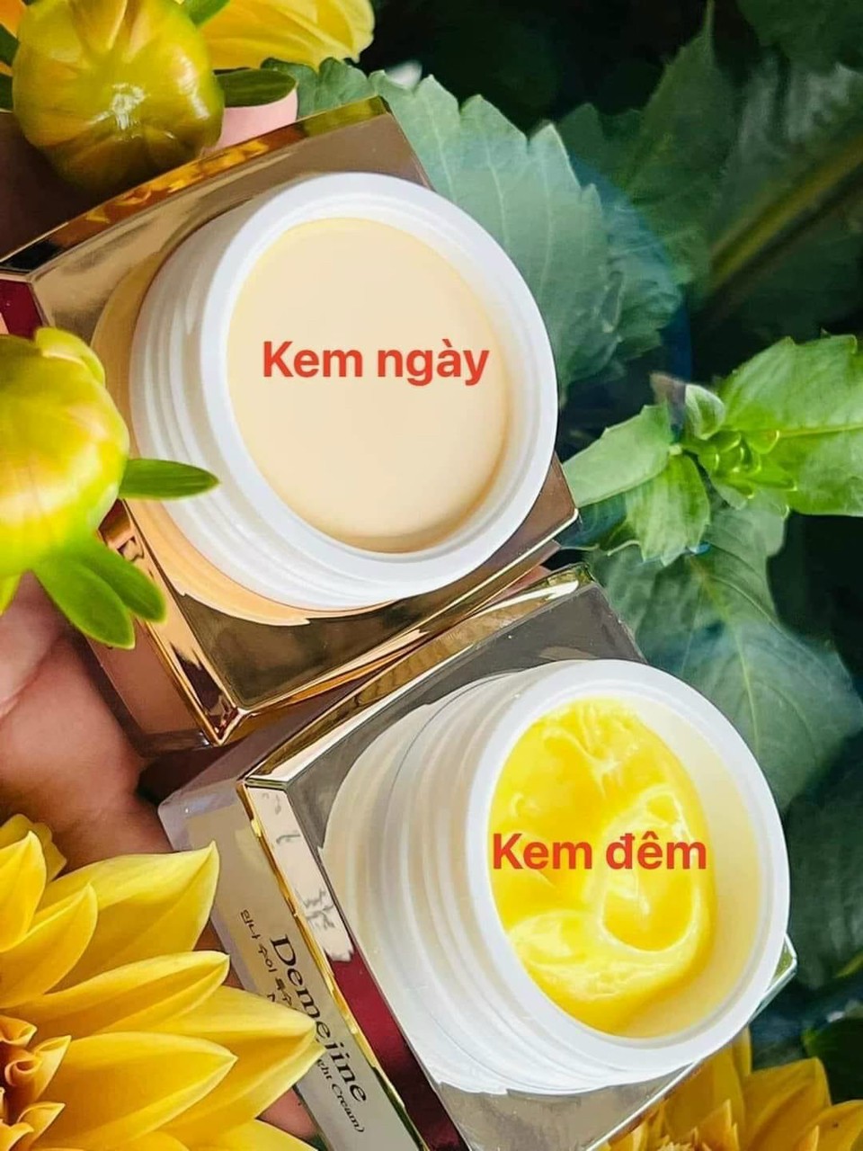 Kem Face Demejine Hàn Quốc Chính Hãng