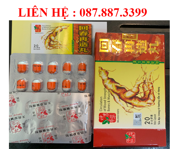 (Hồi Sinh Tái Tạo Hoàn) Circulation of blood strengthen bones & muscles