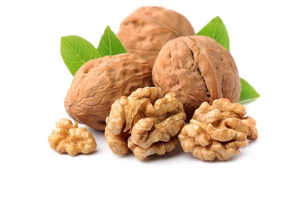 HẠT ÓC CHÓ DINH DƯỠNG TÂN LỘC PHÁT BỊCH 500G