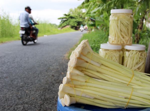 Dưa bồn bồn nhà làm Sóc Trăng 1kg