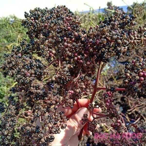200g mắc khén tây bắc