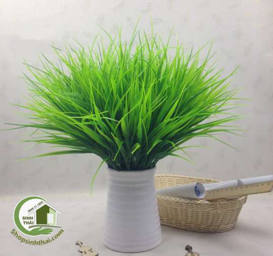 [HCM]Bụi cỏ lúa màu xanh